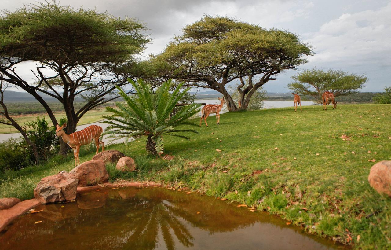 بونغولا Nkwazi Lake Lodge المظهر الخارجي الصورة