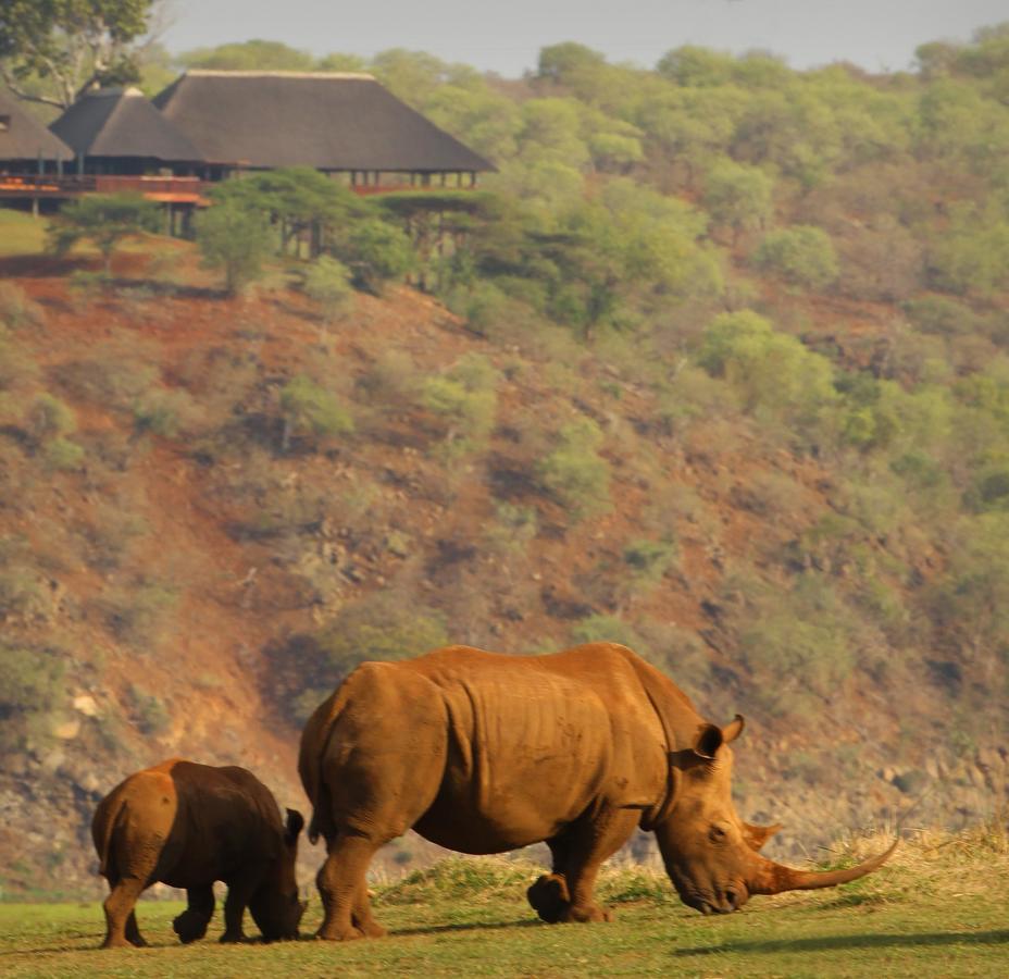 بونغولا Nkwazi Lake Lodge المظهر الخارجي الصورة
